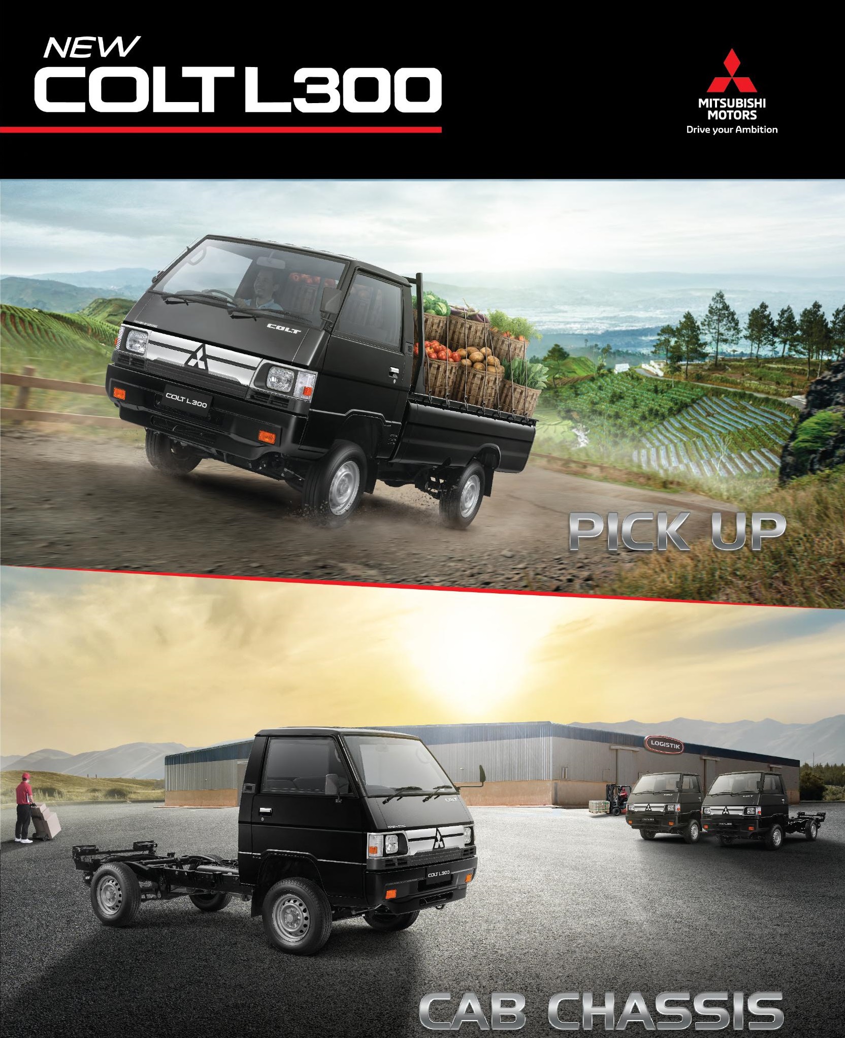 Image Mitsubish L300